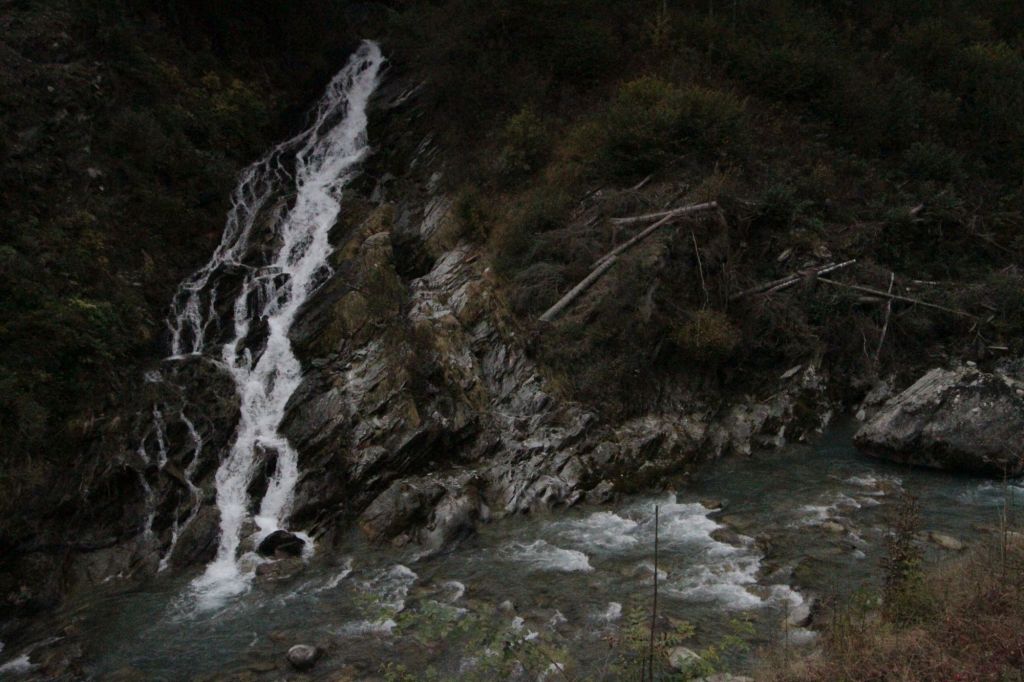 Il bosco dei&nbsp;maestri