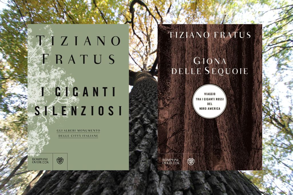 Silvari a Green&nbsp;Pea