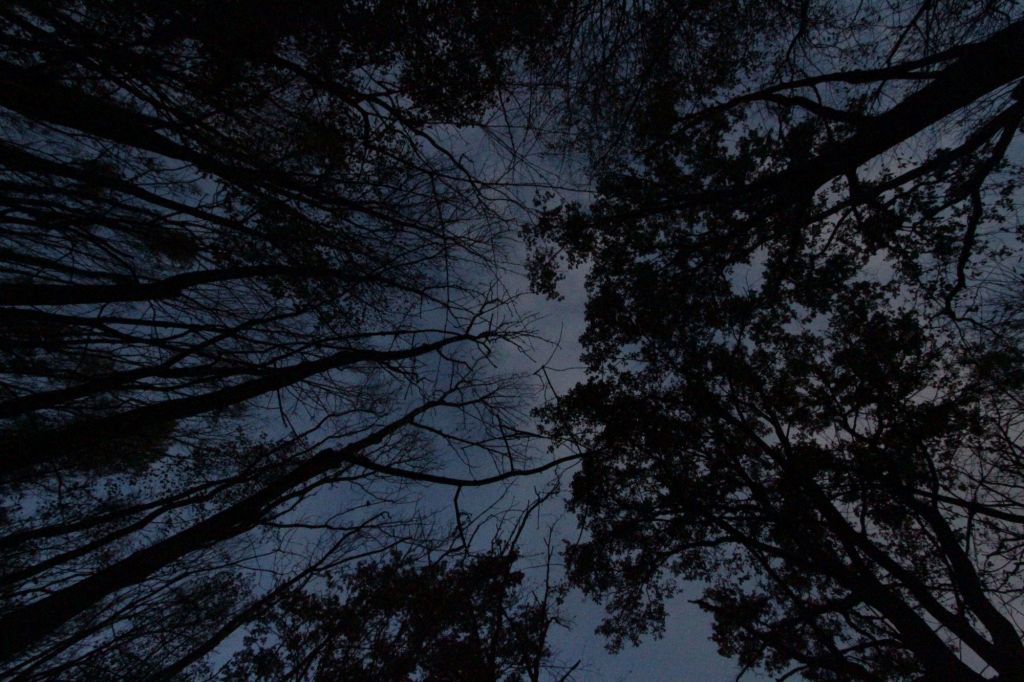 Pregare il paesaggio