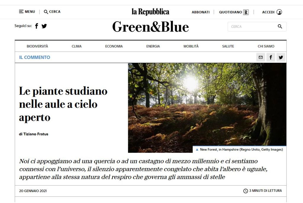 Intelligenza delle piante