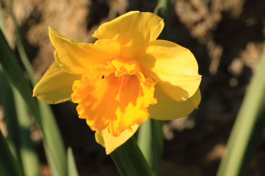 La natura racchiusa in un fazzoletto di&nbsp;terra