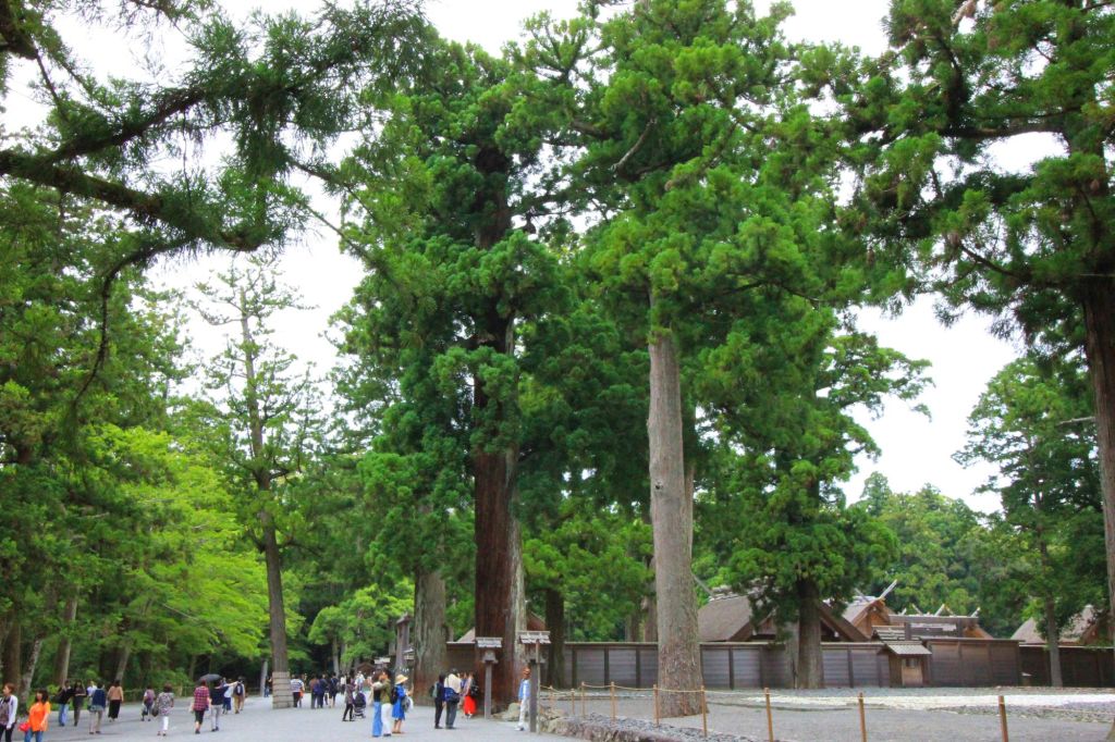 Due manciate di&nbsp;semi