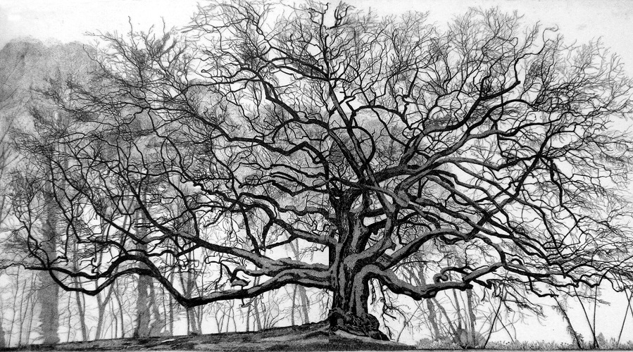 Itinerario di Federica&nbsp;Galli