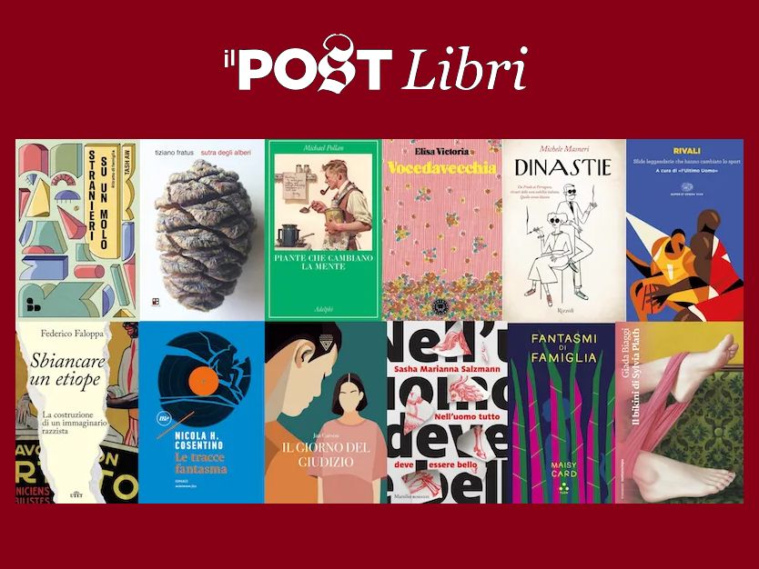 IL POST LIBRI