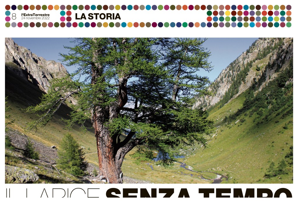 IL LARICE SENZA&nbsp;TEMPO