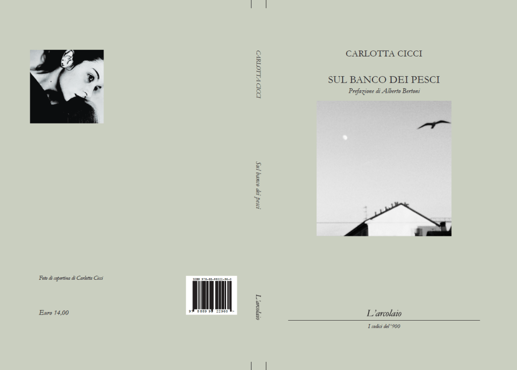 LA POESIA DI CARLOTTA&nbsp;CICCI