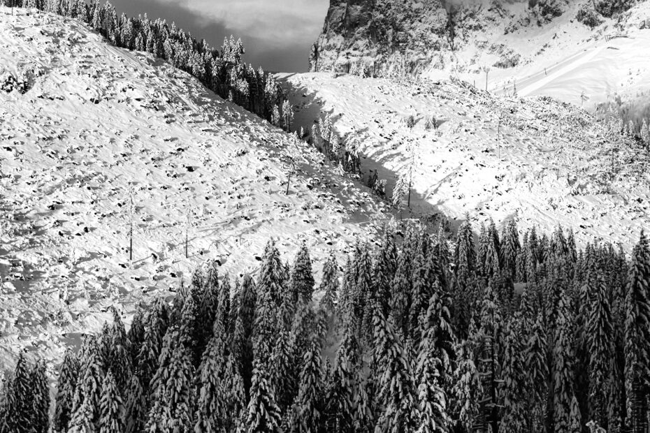 CONVERSAZIONE CON ROBERTO&nbsp;BESANA