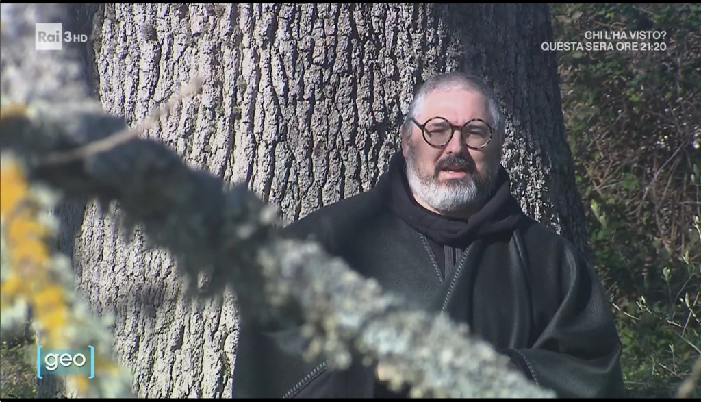 La quercia vallonea di&nbsp;Tricase