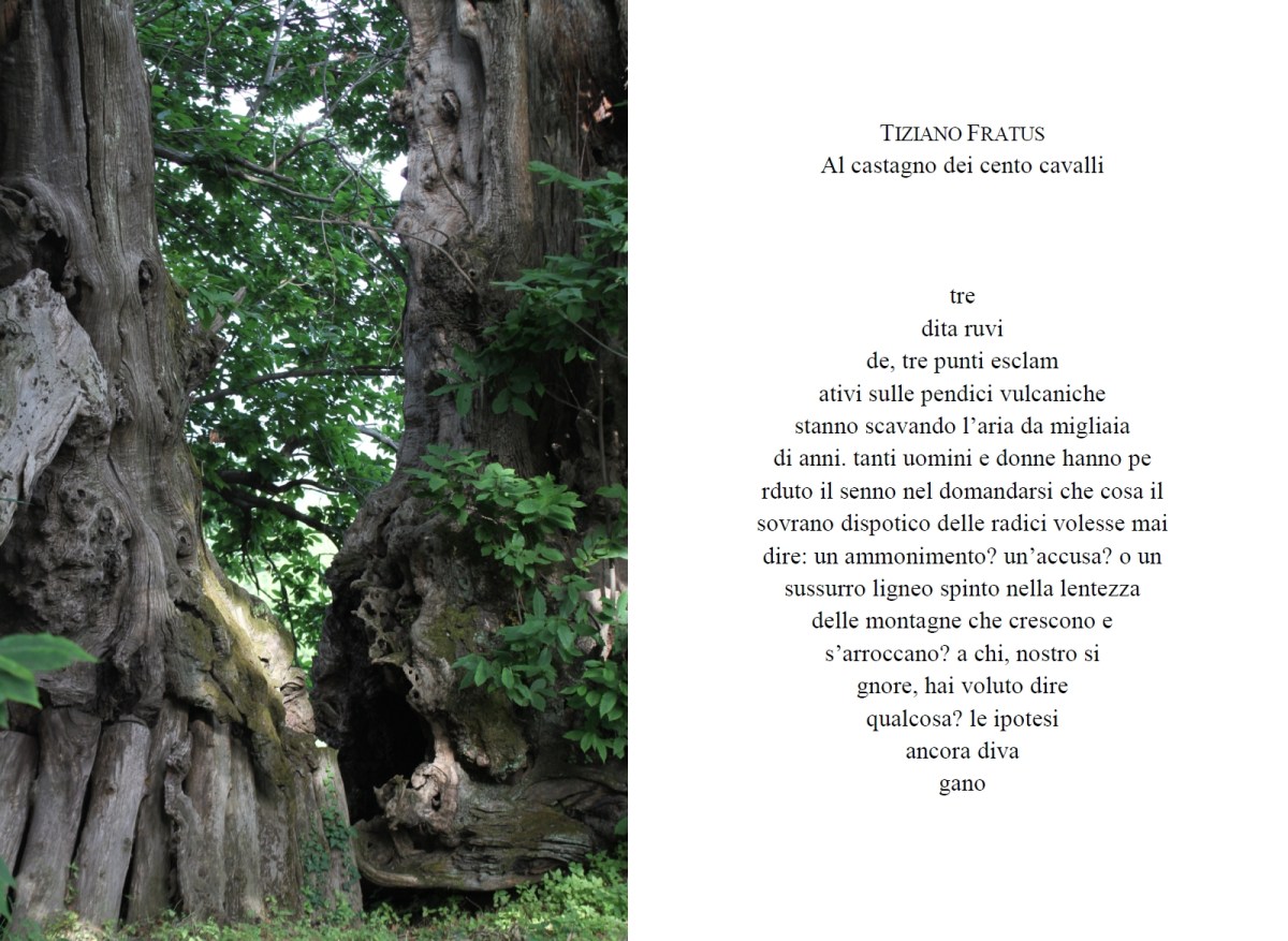 Tour I Grandi Poeti – STUDIO HOMO RADIX