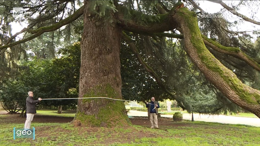 Buona Pasqua tra i cedri di Villa&nbsp;Condulmer
